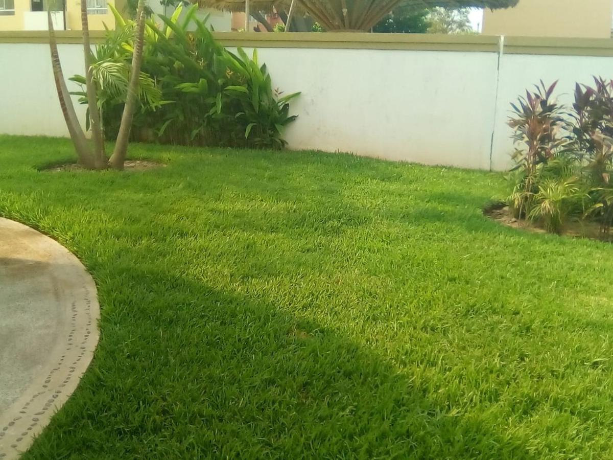 شقة Victor House أكابولكو المظهر الخارجي الصورة